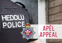 Pembroke vehicle fire: Police seek witnesses after suspected arson