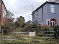 Tenby 'Japanese courtyard' approved