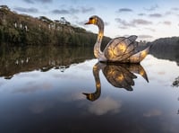 Welsh Spring Festival lights up Pembrokeshire parade