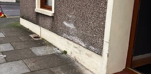 Neyland Councillor calls for traffic calming