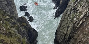 St Davids RNLI in daring rescue of dog from Pembrokeshire cliffs