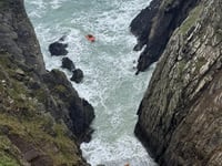 St Davids RNLI in daring rescue of dog from Pembrokeshire cliffs