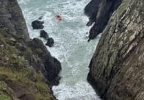 St Davids RNLI in daring rescue of dog from Pembrokeshire cliffs