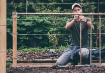 Carmarthenshire apprenticeships bridging skills gap