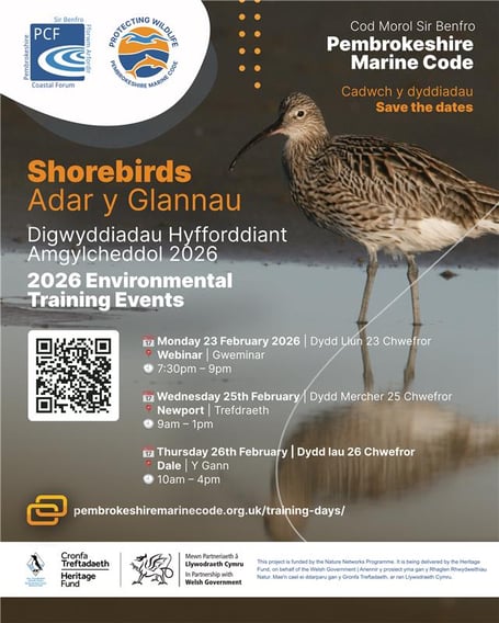 Pembrokeshire Coastal Forum Shorebirds 2026 Environmental Training Events poster