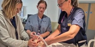Baby CPR manikin boosts training