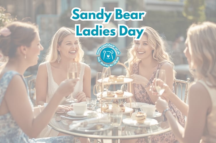 Sandy Bear Ladies Day