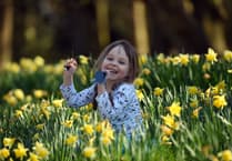 Three local places to celebrate St David’s Day - for free