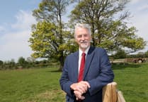 Early tree planting grants increased in Wales