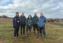 Wales strengthens environmental protections with new Bill