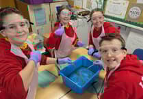 Pembrokeshire pupils learn real-world chemistry