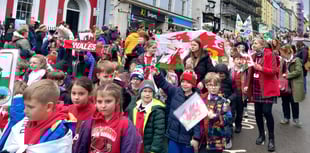 St David’s Day parade brings joy