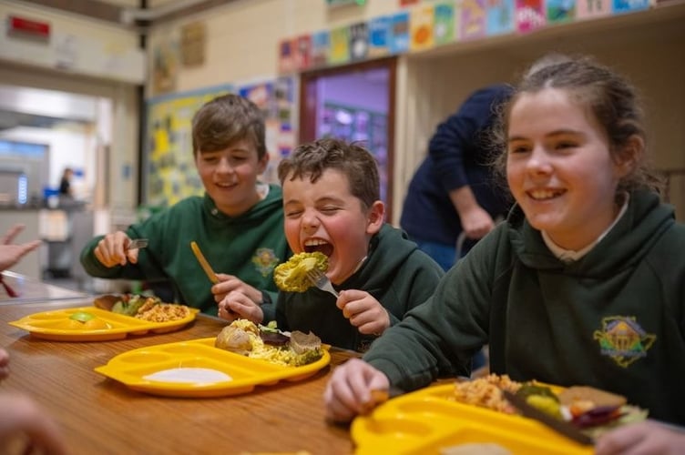 New research shows that Universal Primary Free School Meals (UPFSM) have removed financial barriers, increased access to school meals and reduced stigma across Wales.