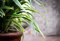 Welsh households to benefit from £5 million Green Homes Wales funding