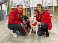 £15k boost for Pembrokeshire's Cariad Pet Therapy