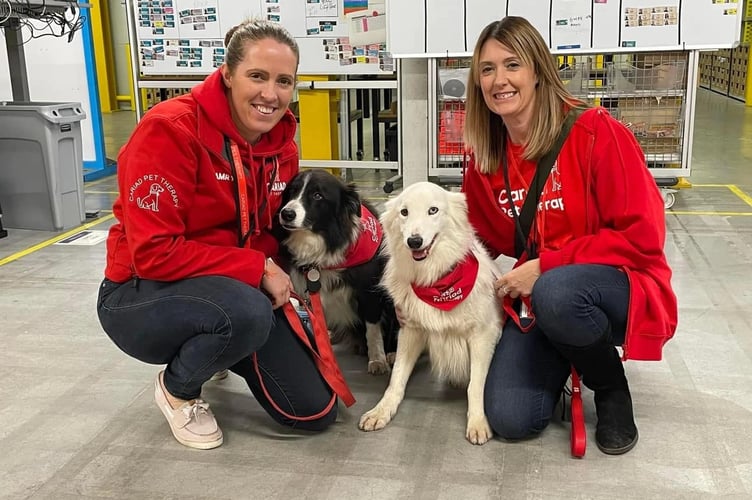 Pembrokeshire-based Cariad Pet Therapy has been recognised by Allwyn, operator of the UK National Lottery, with a £15,850 donation to support its life-changing work connecting people and dogs across Wales.