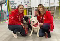 £15k boost for Pembrokeshire's Cariad Pet Therapy