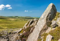 Guided walk and heritage stories in the Preseli Hills