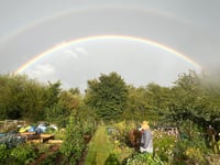 Consultation on plans to secure Pembrokeshire village allotments