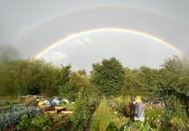 Consultation on plans to secure Pembrokeshire village community allotments