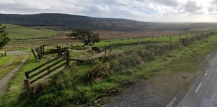 Pembrokeshire farm rebuild to aid sheep farming
