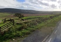 Pembrokeshire farm rebuild proposed to aid sheep farming