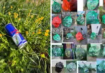 Follow Ida’s example and join the litter pick on Saturday!