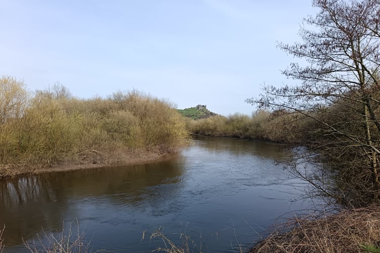 Towy Valley cycle path, with Dryslwyn Castle in the distance (pic Richard Youle and free for use for wire partners) 