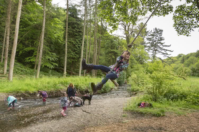 A child playing on a tree rope swing at Colby Woodland Garden, Pembrokeshire. The garden is named after Welsh landowner John Colby (1751-1823), who originally came to the area in the 1790s to mine coal. Today, the woodland garden features a wild flower meadow, stream, and colourful walled garden.