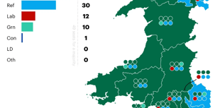 Senedd poll predicts Plaid victory and Eluned out