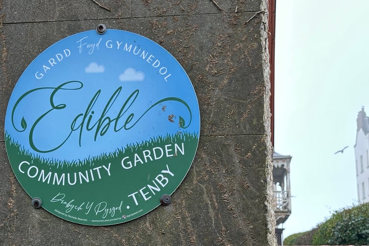 Tenby’s Edible Community Garden is at the Gilroy Phillips Gardens, Sutton Street, near the town walls and the Esplanade.