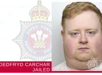 Carmarthenshire delivery driver jailed for fatal collision