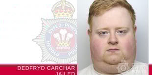 Carmarthenshire delivery driver jailed for fatal collision