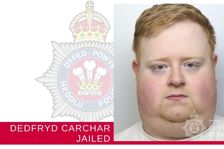 Delivery driver Daniel Wyke has been jailed for four-and-a-half-years 