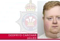 Carmarthenshire delivery driver jailed for fatal collision
