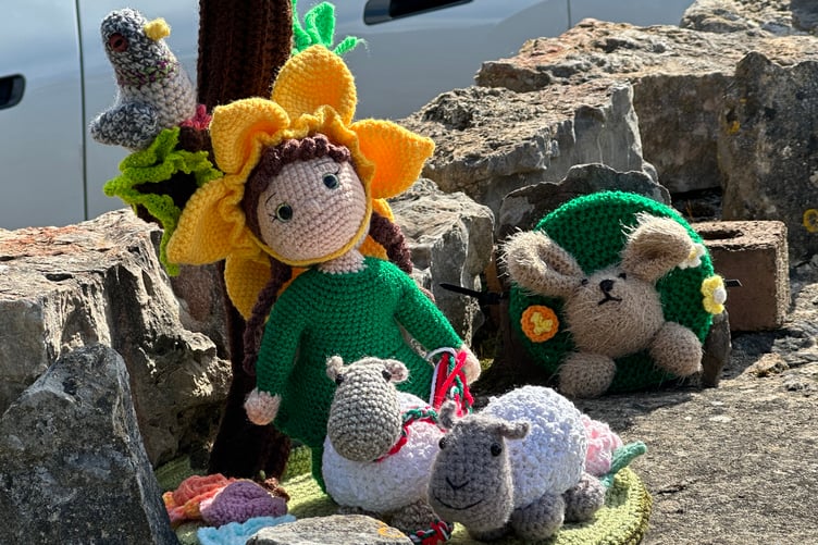 Looking after the sheep near Penally Village Hall