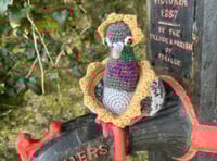 Penally Yarn Bombers decorate village