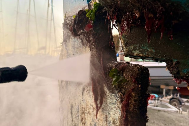 Milford Haven's biosecurity boost
