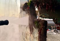 Milford Haven Waterway biosecurity project to combat invasive species