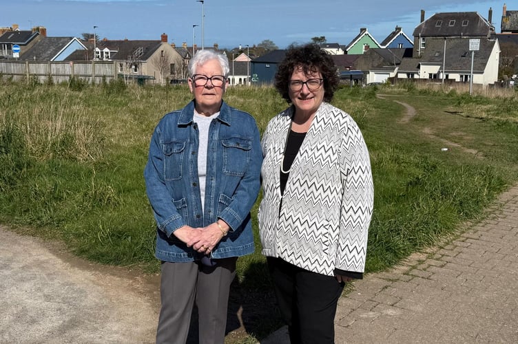 Local politicians are calling on Hywel Dda University Health Board to commit firmly to delivering a new integrated health and well-being centre for Fishguard and north Pembrokeshire