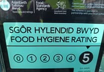 Carmarthenshire food inspection crisis: Council struggles with backlog