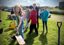Sycamore Gap legacy takes root at Carew Castle