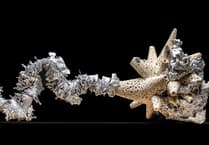 Welsh-landscape inspired exhibition by Jonas Tew to open in Carmarthenshire