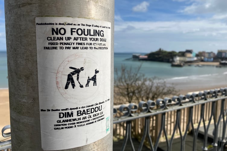 Recently, members of Tenby Town Council had cause to discuss the same topic, in a bid to tackle the ongoing issue and impact of dog fouling around the seaside town.