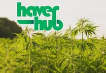 Join the Hemp Hustings debate on April 26!