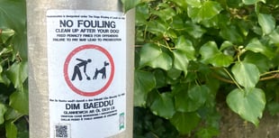 Saundersfoot's dog fouling frustration