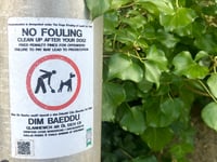 Saundersfoot's dog fouling frustration