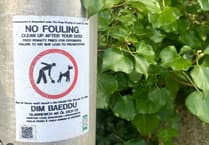 Saundersfoot's dog fouling frustration