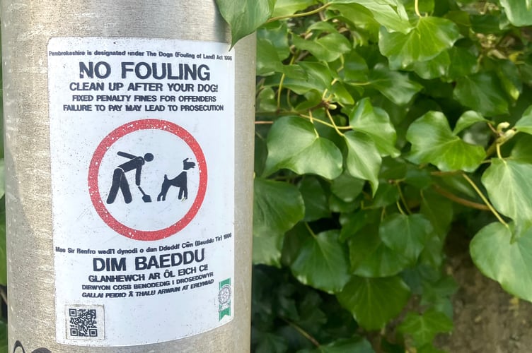Dog fouling