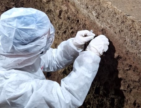 From hippos to Homo sapiens: cave hidden beneath Pembroke Castle could ...